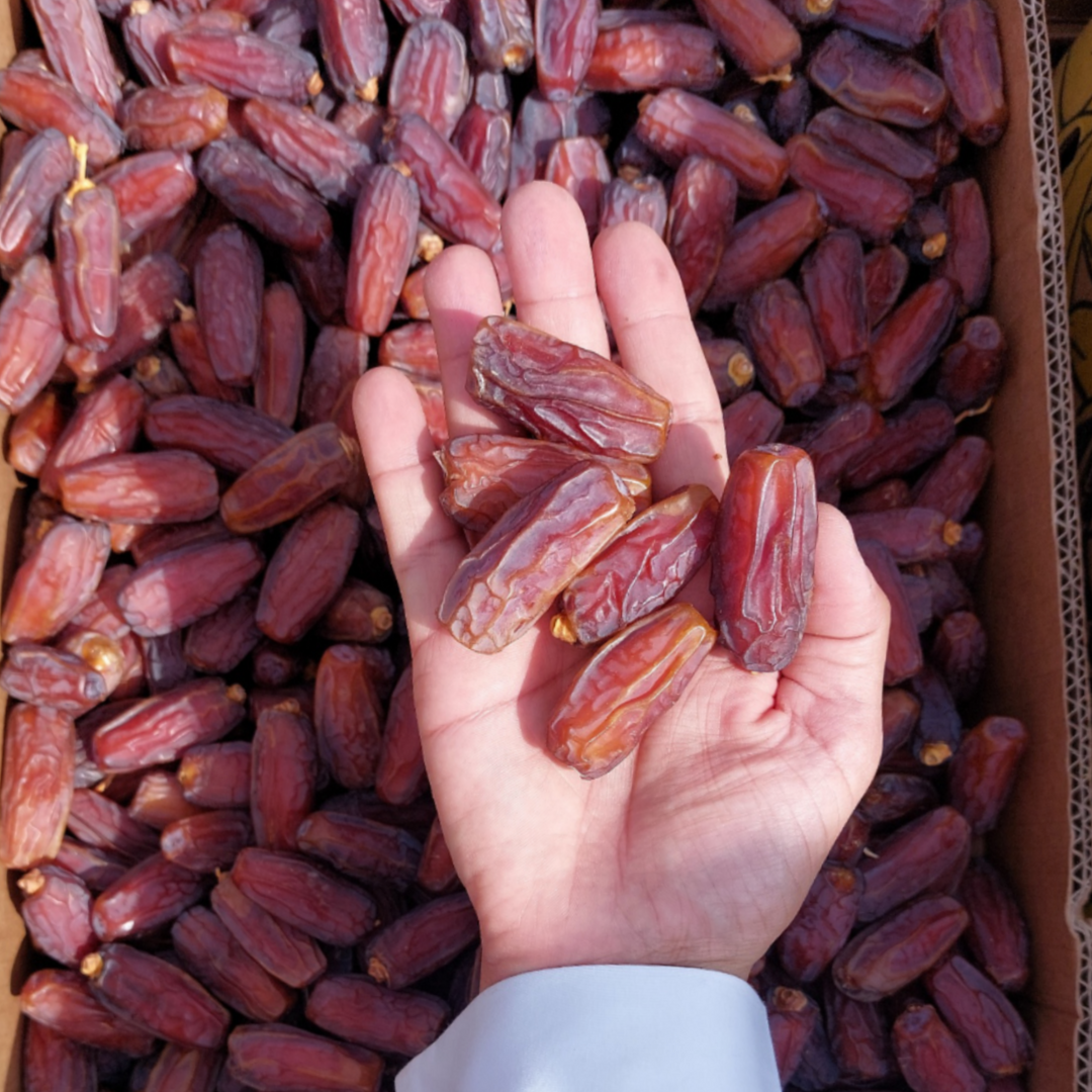 Marboom Dates ( مابرم کھجور )