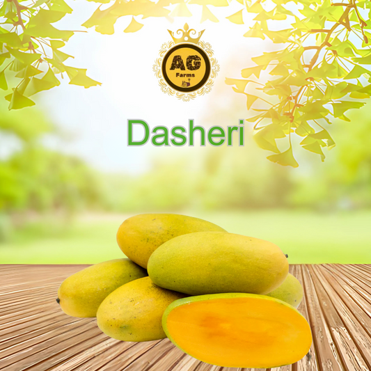 Dussehri Mango (Export Quality)- Buy Online