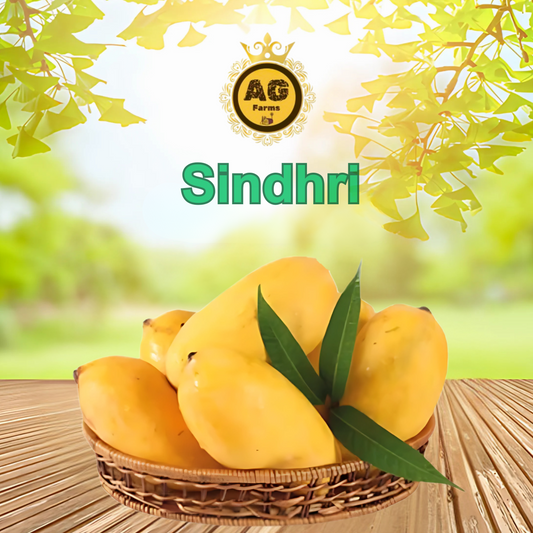 Sindhri Mango (Export Quality)- SOLD OUT